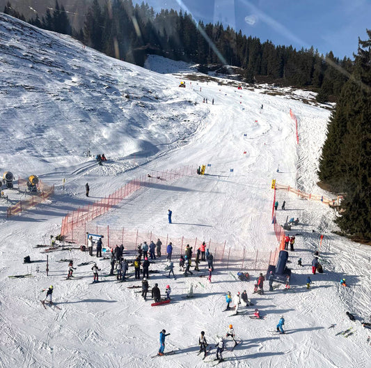 Stumbaum Hausfreunde Cup U12 2026