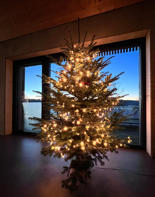 Besinnliche Feiertage und einen guten Rutsch!